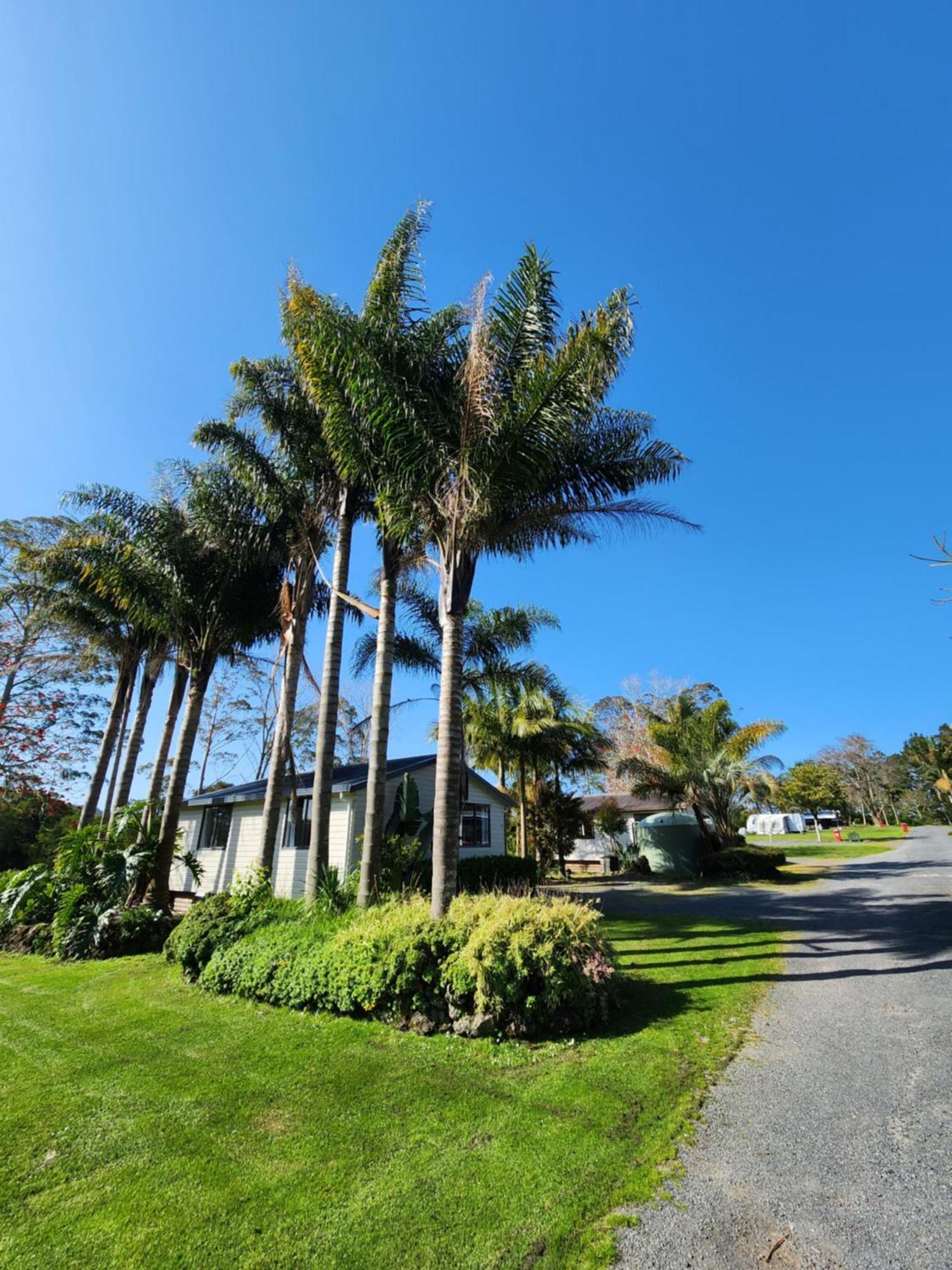 Bay Of Islands Holiday Park Paihia Extérieur photo