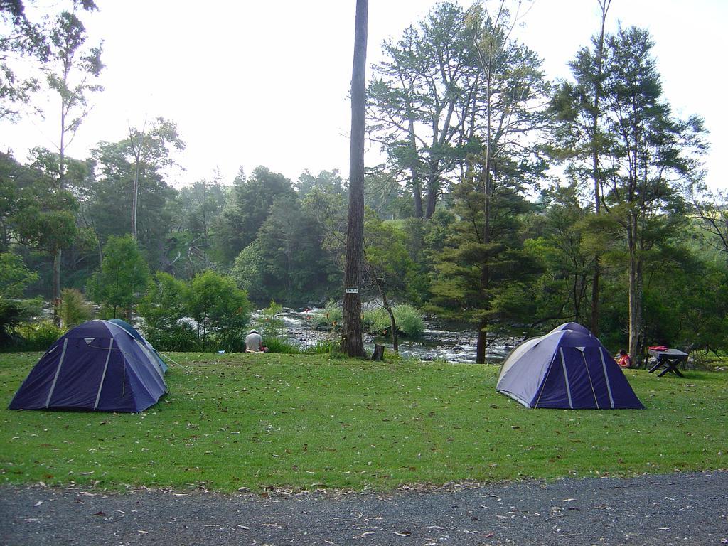 Bay Of Islands Holiday Park Paihia Extérieur photo